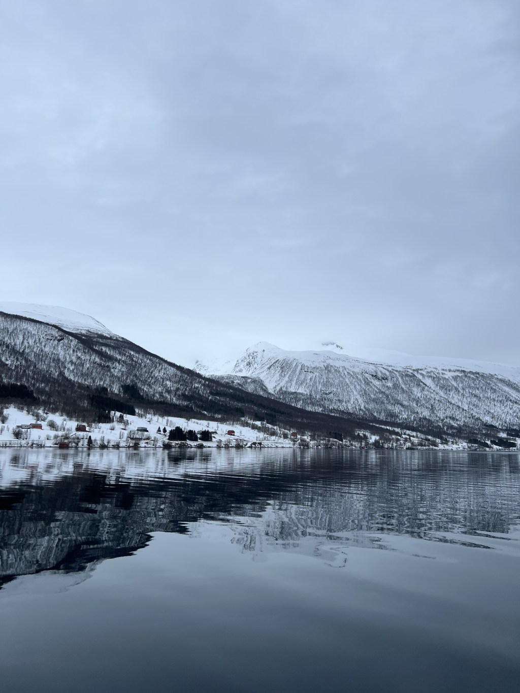 The texture of Norwegian&nbsp;woods